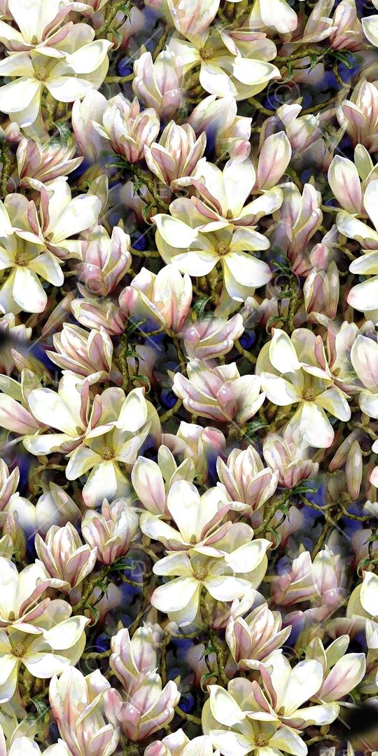 乱花印花华亿平台图片