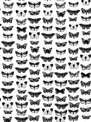 763143-838816122001a