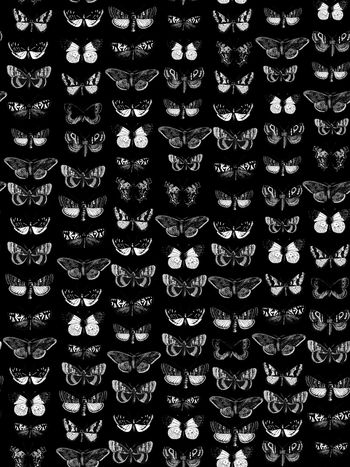 763144-838816122001b