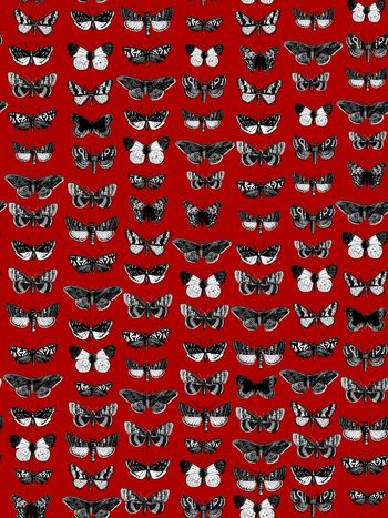 763145-838816122001c