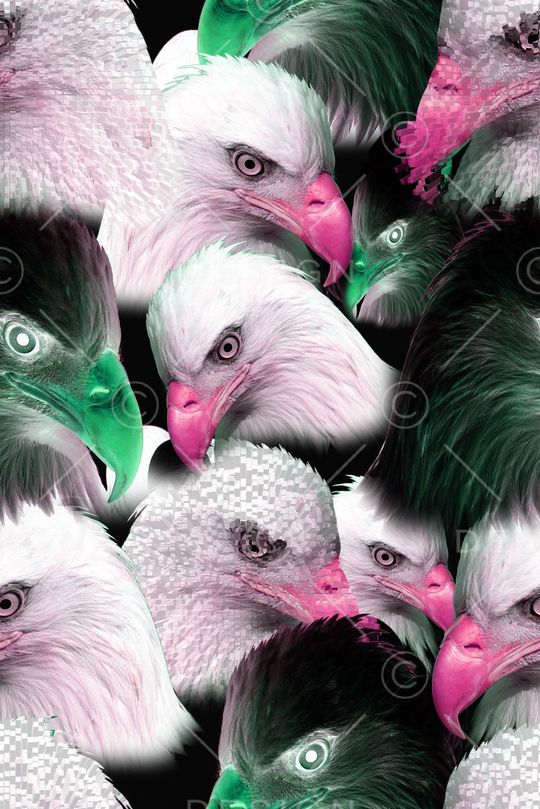 老鹰印花华亿平台图片