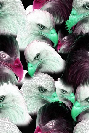 老鹰印花华亿平台图片