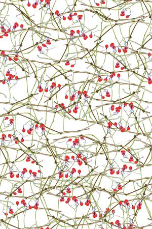 植物印花华亿平台图片