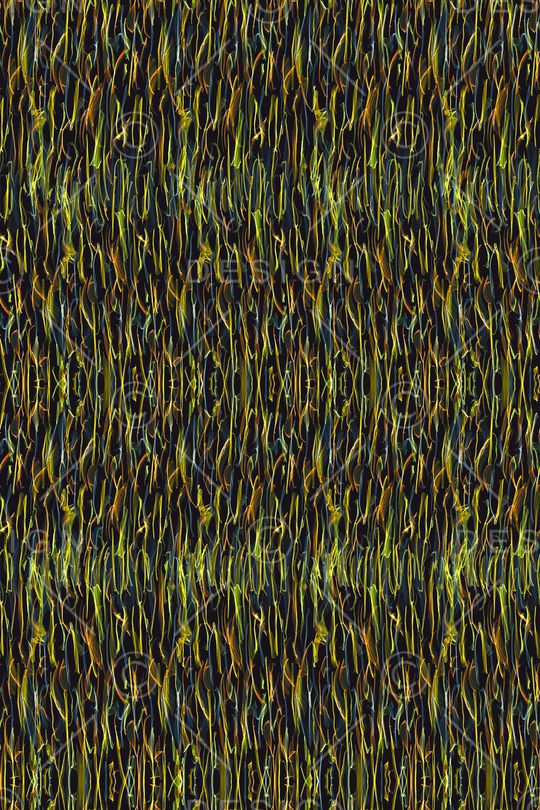 纹理印花华亿平台图片