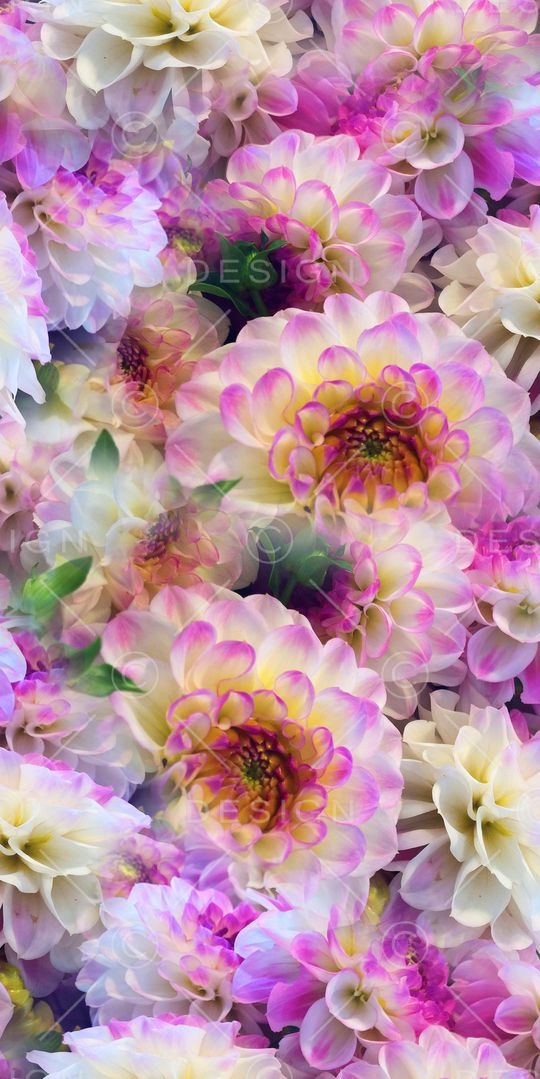 优雅花卉印花华亿平台图片