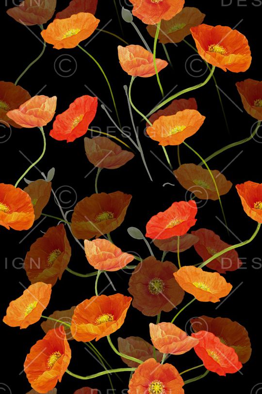 purity华亿平台fresh2印花华亿平台图片