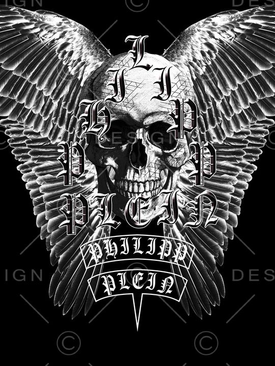 翅膀印花华亿平台图片