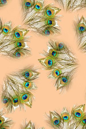 孔雀羽毛印花华亿平台图片