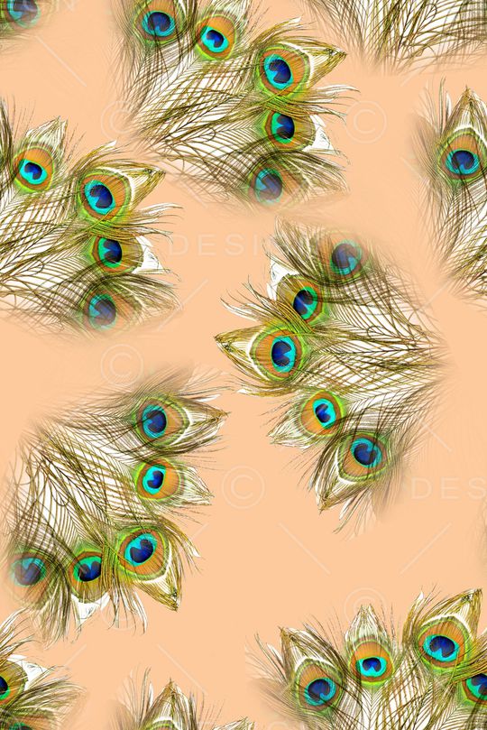 孔雀羽毛印花华亿平台图片