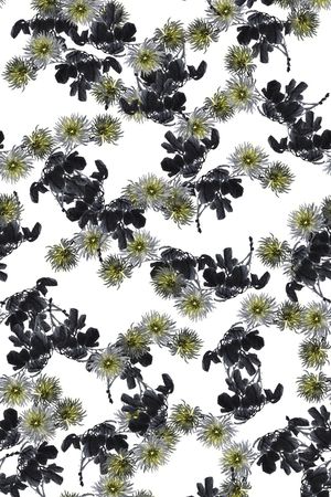 抽象花印花华亿平台图片