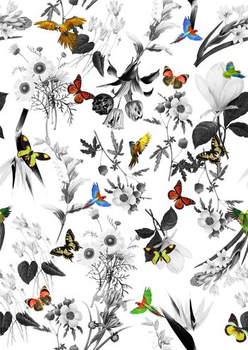 764274-838816122206a