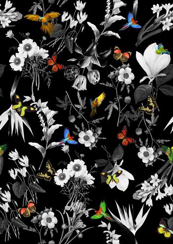 764275-838816122206b