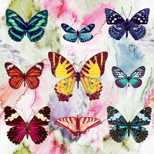 肌理印花华亿平台图片