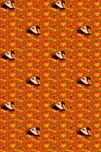 动物印花华亿平台图片