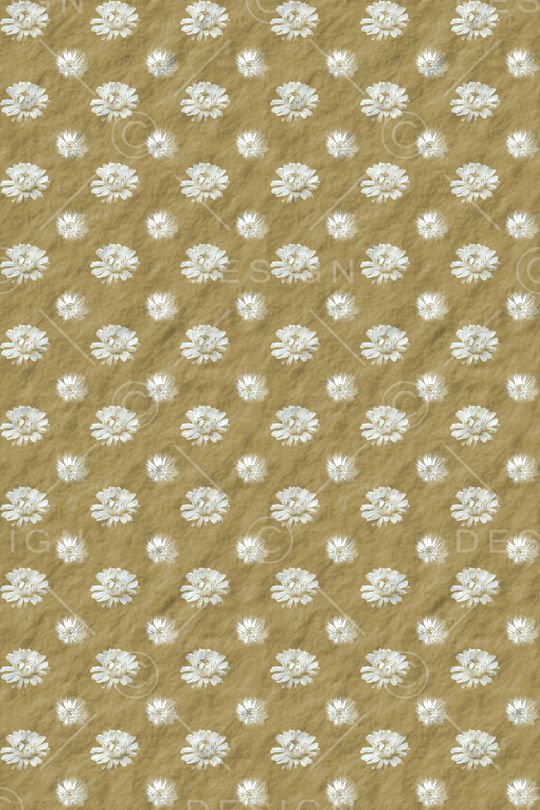 雏菊印花华亿平台图片