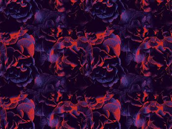 乱花印花华亿平台图片