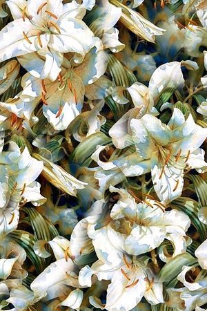 百合印花华亿平台图片