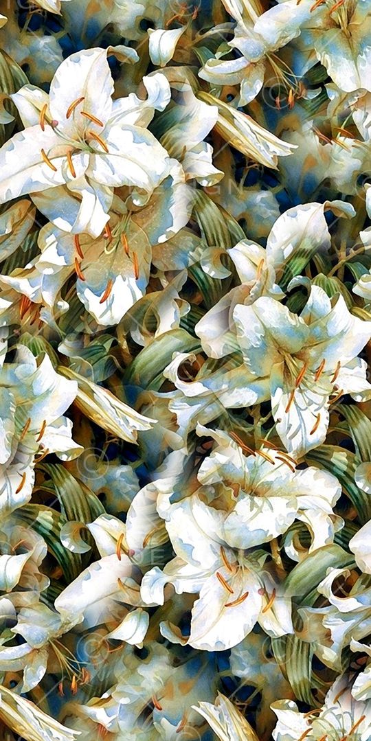 百合印花华亿平台图片