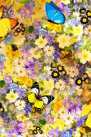 蝴蝶印花华亿平台图片