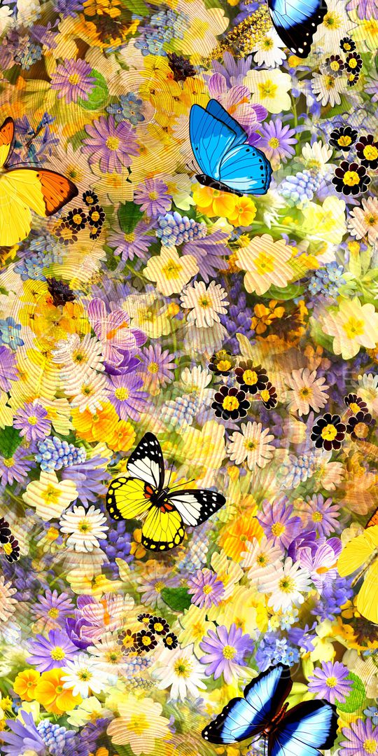 蝴蝶印花华亿平台图片