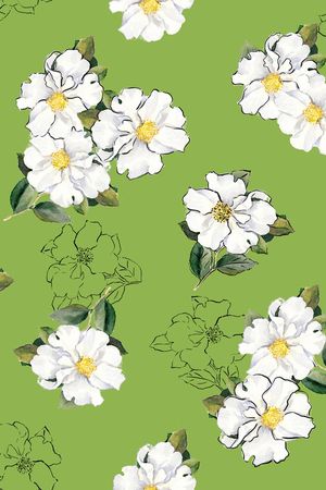 茉莉印花华亿平台图片