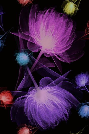 血红印花华亿平台图片