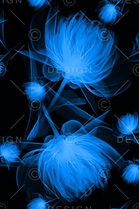 血红印花华亿平台图片