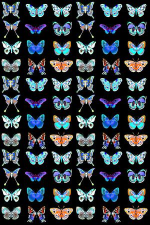 蝴蝶印花华亿平台图片