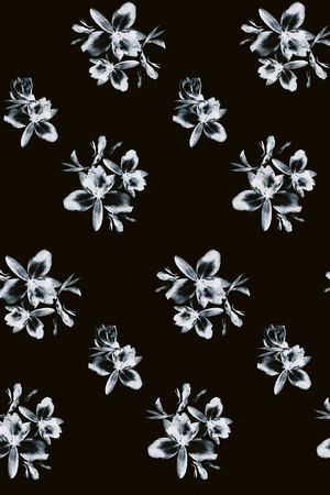 三色堇印花华亿平台图片