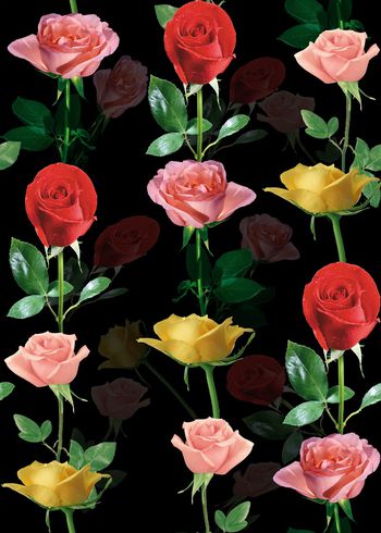 大花印花华亿平台图片