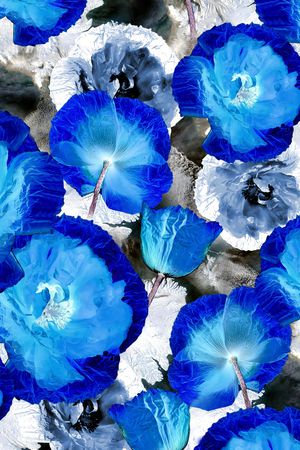 抽象花卉印花华亿平台图片