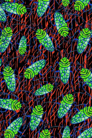 趣味印花华亿平台图片