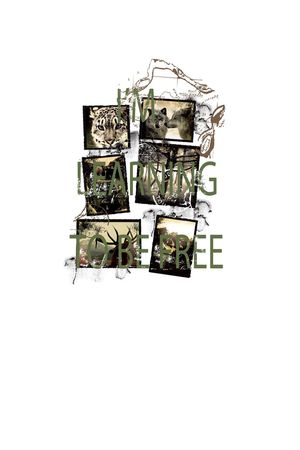 老虎印花华亿平台图片