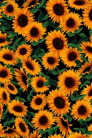 向日葵印花华亿平台图片