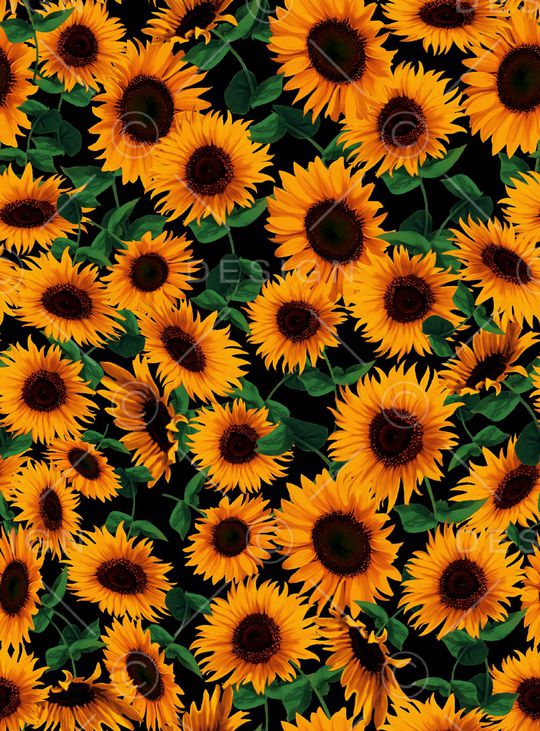 向日葵印花华亿平台图片