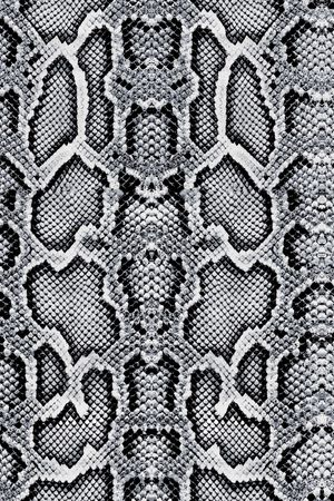 蛇纹印花华亿平台图片