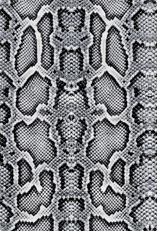 蛇纹印花华亿平台图片