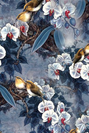 蝴蝶花印花华亿平台图片