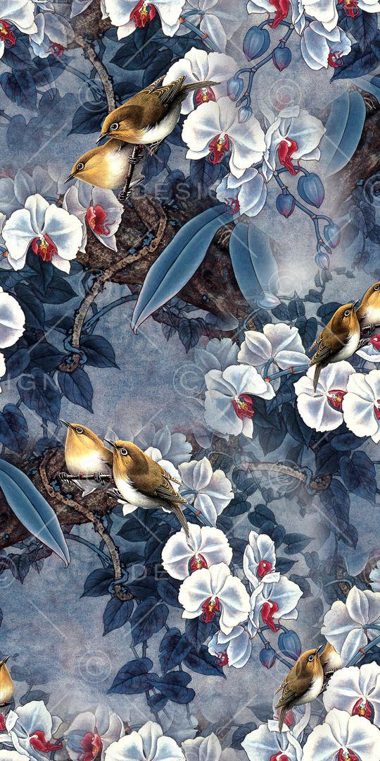 蝴蝶花印花华亿平台图片