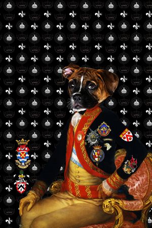 狗头印花华亿平台图片