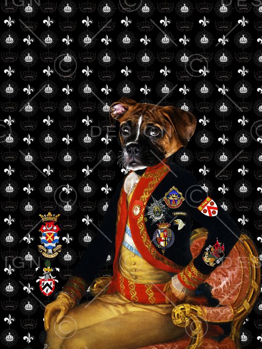 狗头印花华亿平台图片