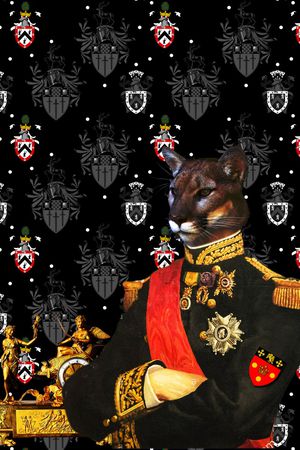 宫廷印花华亿平台图片