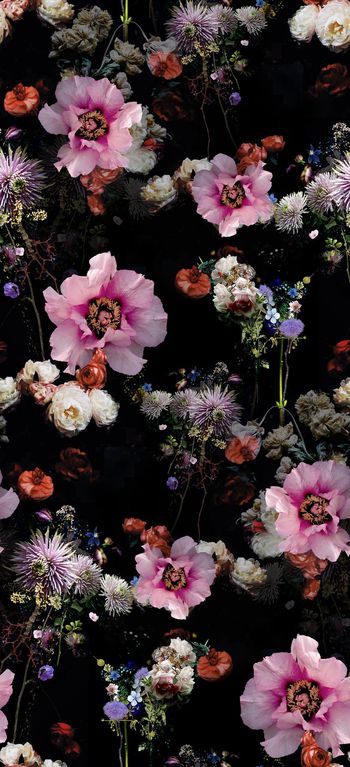 巴洛克印花华亿平台图片