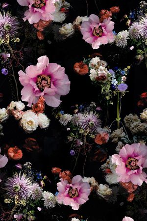 巴洛克印花华亿平台图片