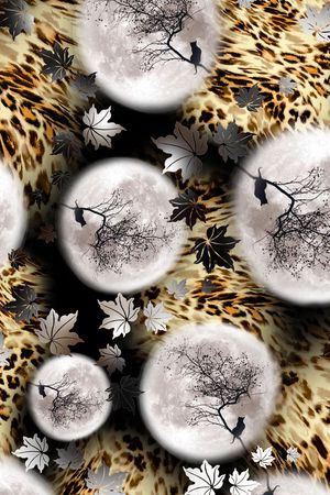 月球印花华亿平台图片