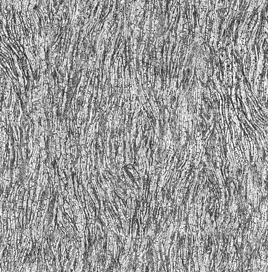 黑白花印花华亿平台图片