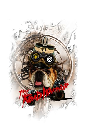 欧美印花华亿平台图片