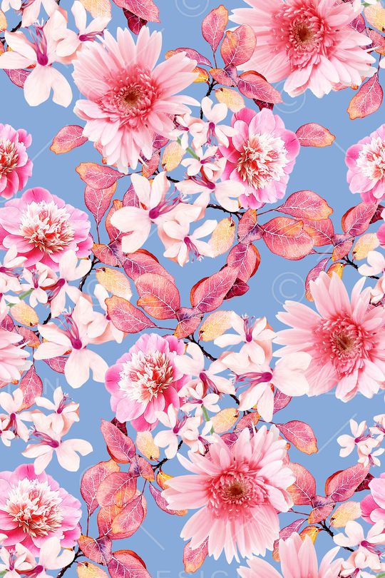 菊花印花华亿平台图片