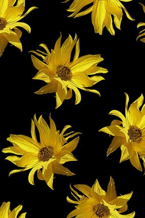 丝巾女装家纺印花华亿平台图片