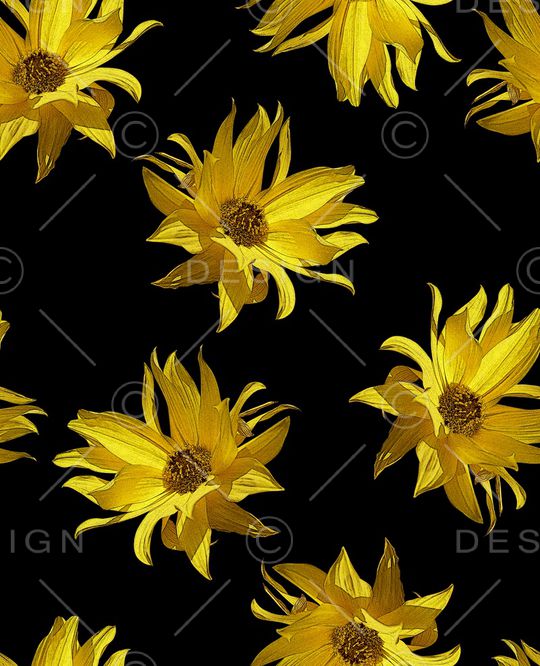 丝巾女装家纺印花华亿平台图片